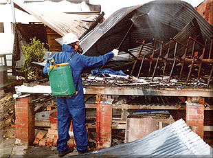 asbestos